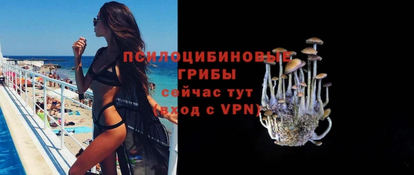 амф Алзамай